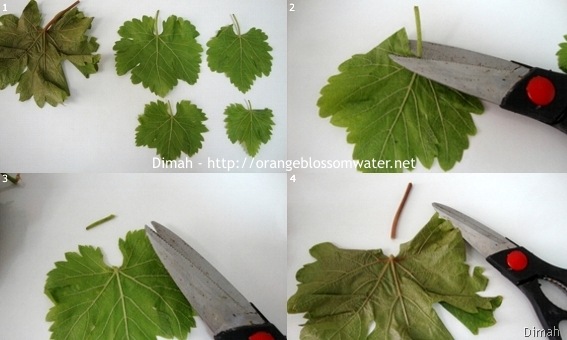Dimah - http://orangeblossomwater.net - Grape Leaves 1